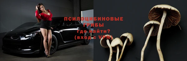apvp Кодинск