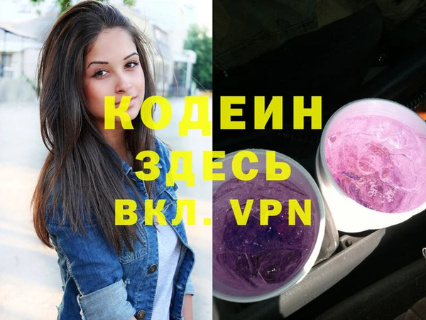 apvp Кодинск