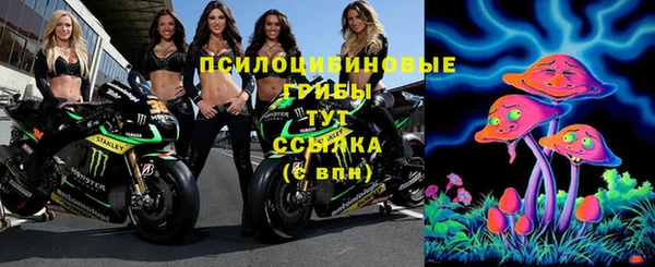 сатива Красноперекопск