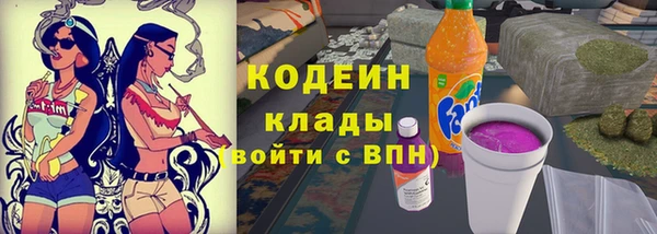 apvp Кодинск